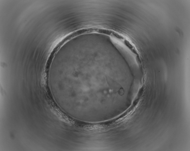 X0000090930879200708061601