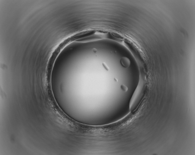 X0000090930880200708061601