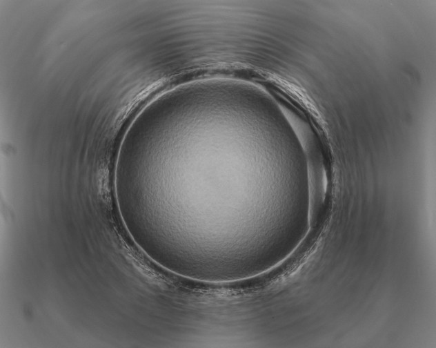 X0000090930881200708061601