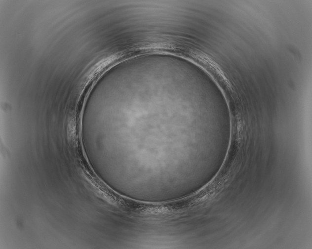 X0000090930882200708061601