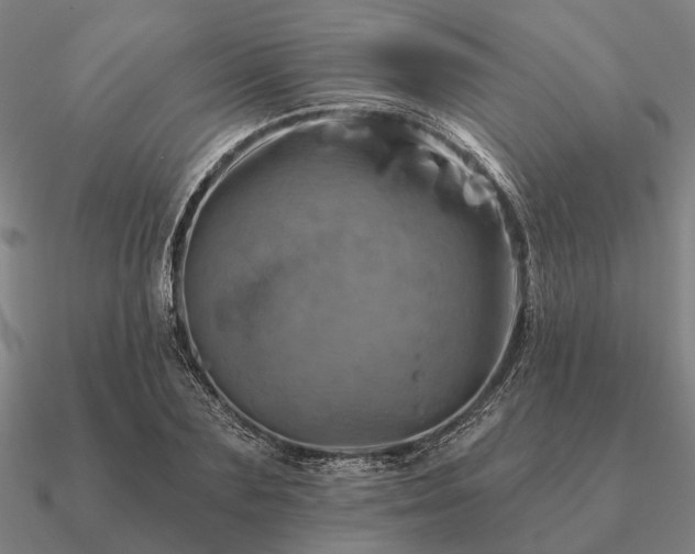 X0000090930883200708061601