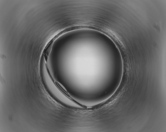 X0000090930884200708061601