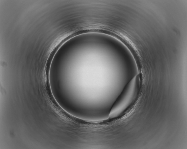 X0000090930885200708061601