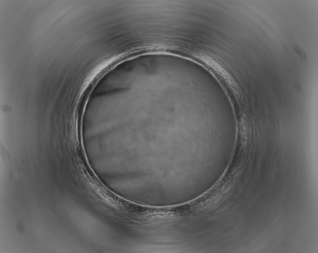 X0000090930886200708061601