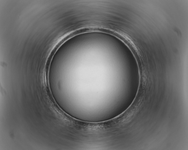 X0000090930887200708061601