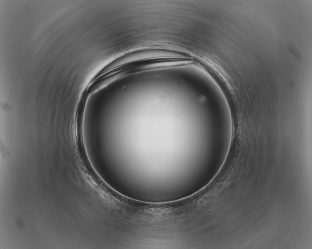 X0000090930888200708061601