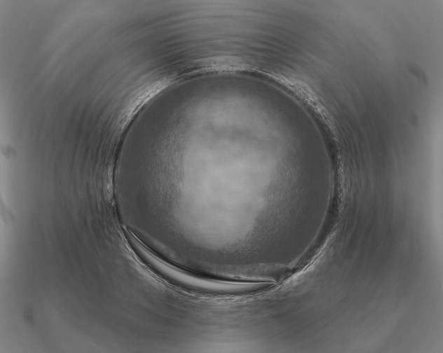 X0000090930889200708061601