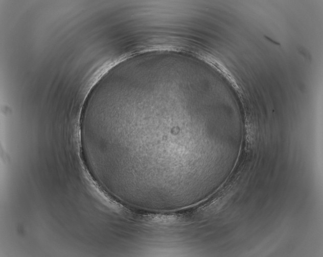 X0000090930890200708061601