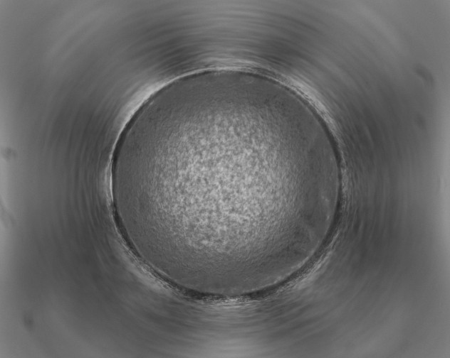 X0000090930891200708061601