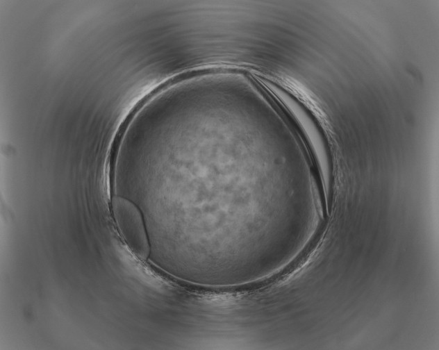 X0000090930892200708061601