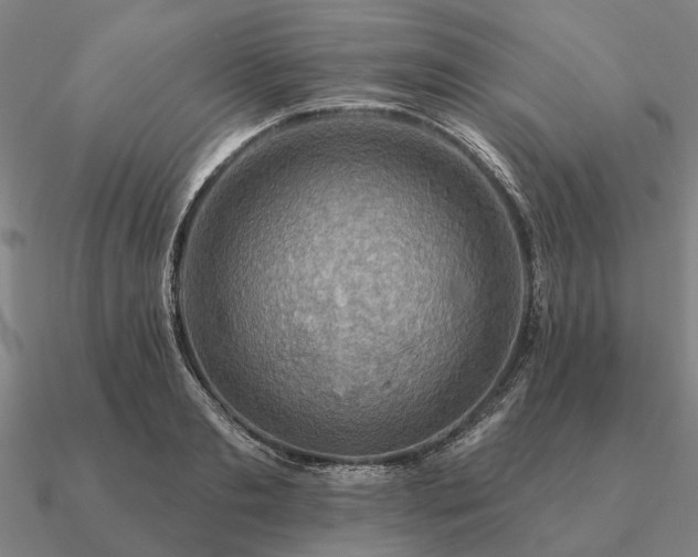 X0000090930893200708061601