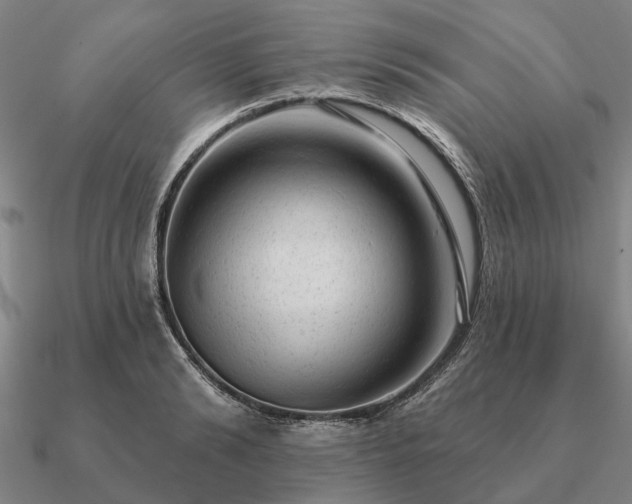 X0000090930894200708061601