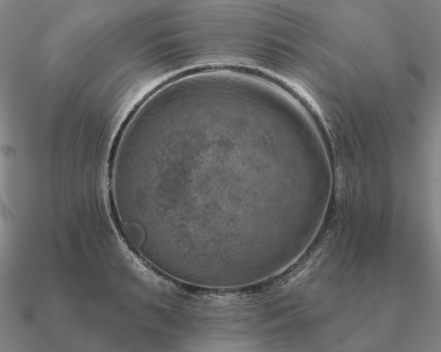 X0000090930895200708061601