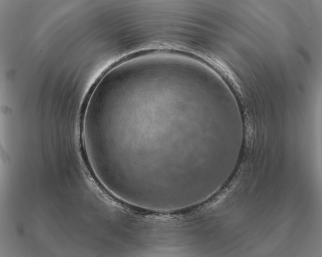 X0000090930896200708061601