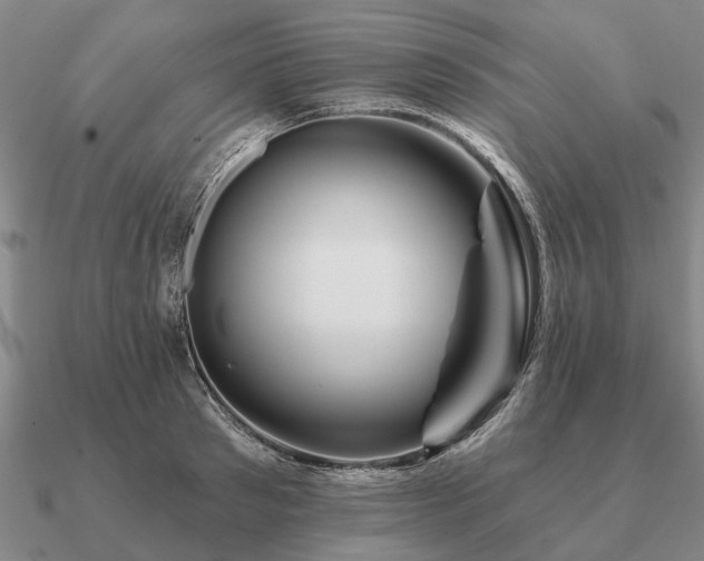 X0000090930897200708061601