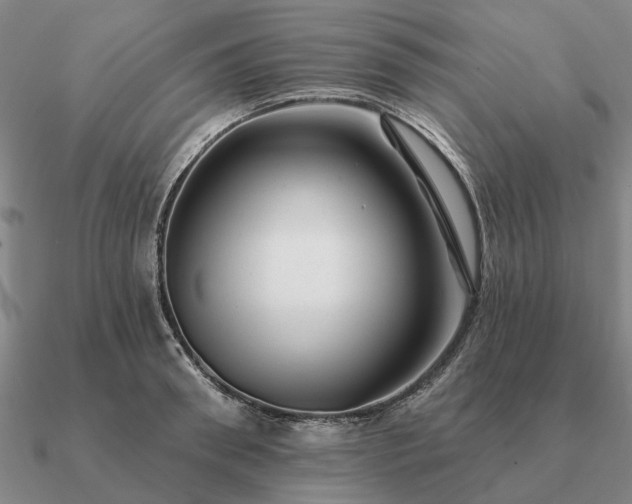 X0000090930898200708061601