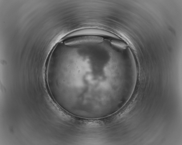 X0000090930899200708061601