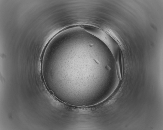 X0000090930900200708061601