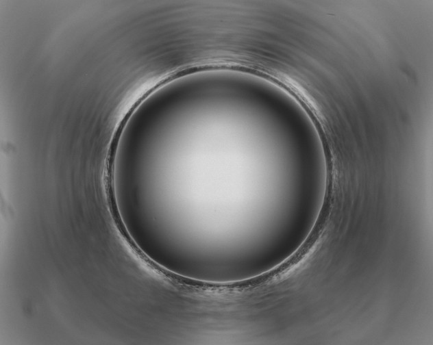 X0000090930901200708061601