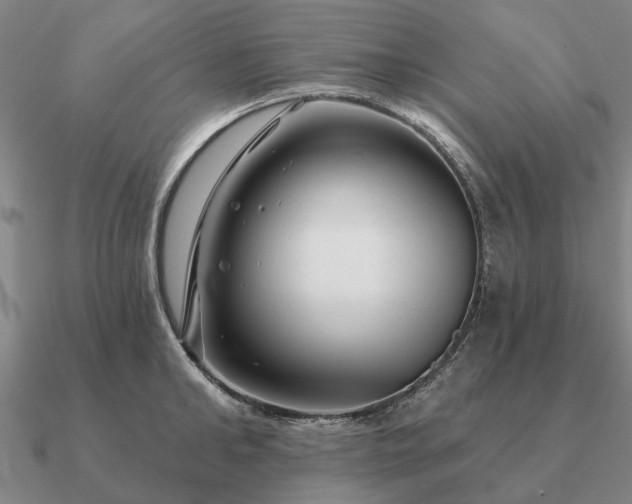 X0000090930902200708061601