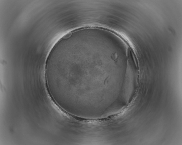 X0000090930903200708061601