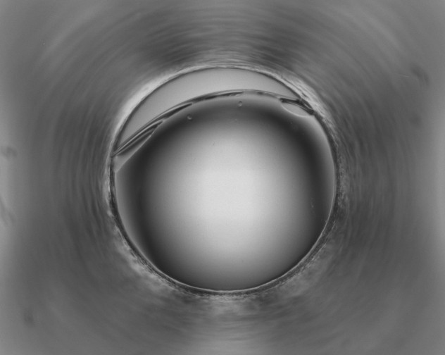 X0000090930904200708061601