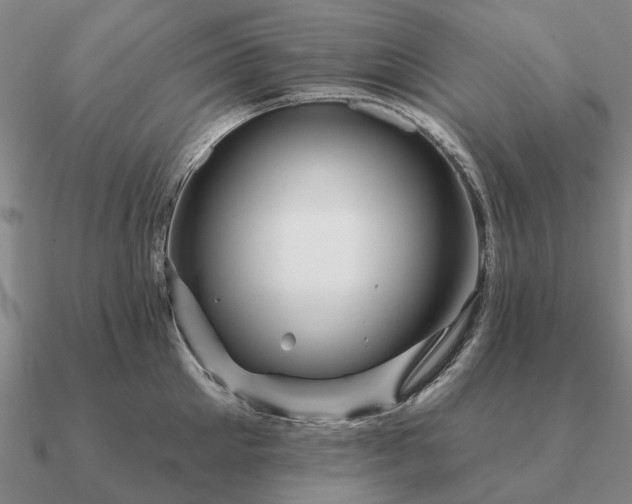 X0000090930905200708061601