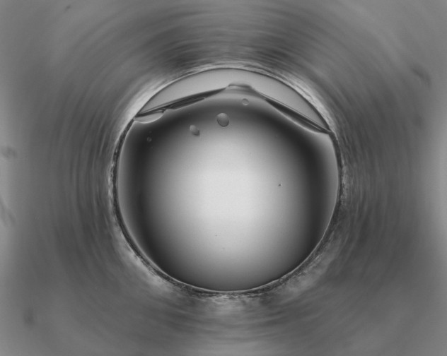 X0000090930906200708061601