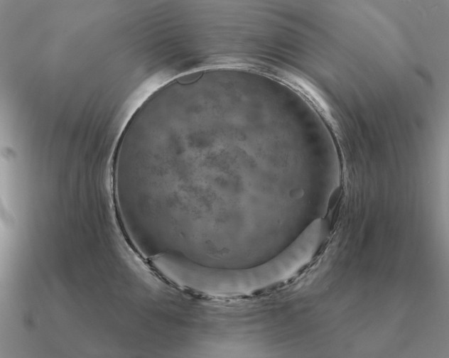 X0000090930907200708061601