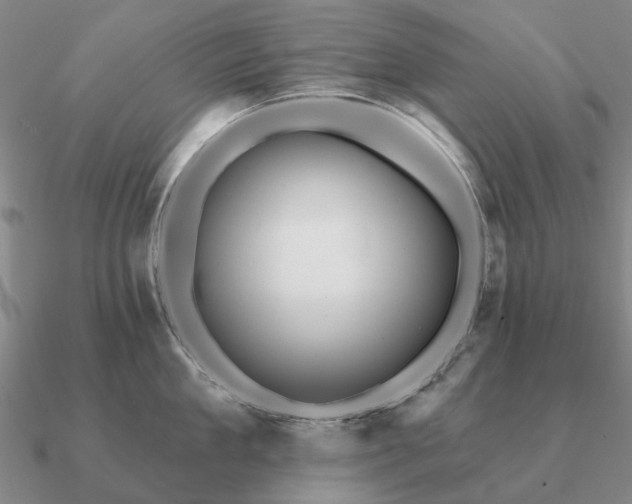 X0000090930909200708061601