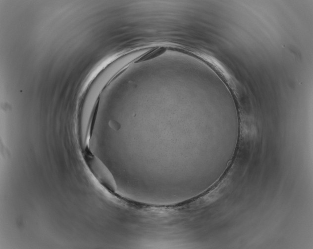 X0000090930910200708061601