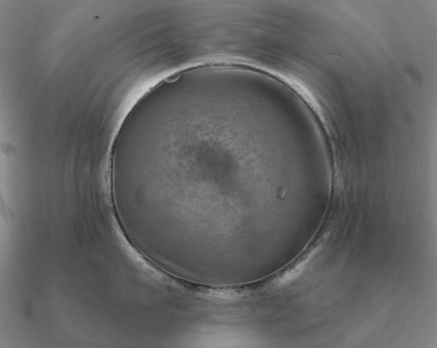 X0000090930911200708061600