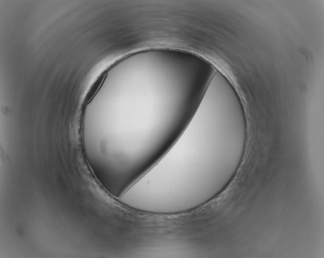 X0000090930912200708061600