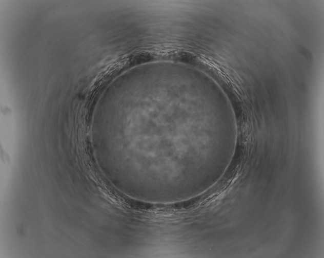 X0000090930913200708061600