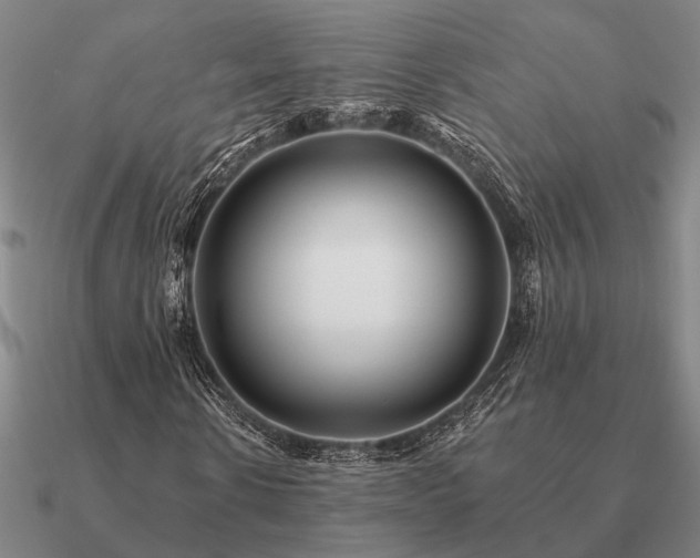 X0000090930914200708061600