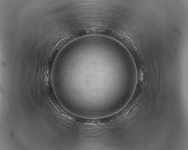 X0000090930915200708061600