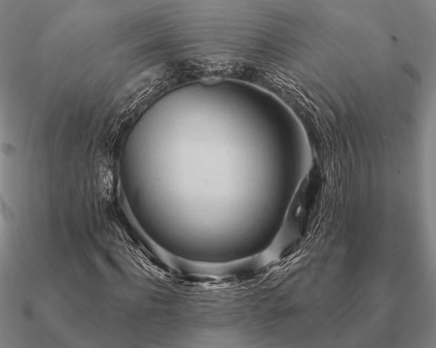 X0000090930916200708061600