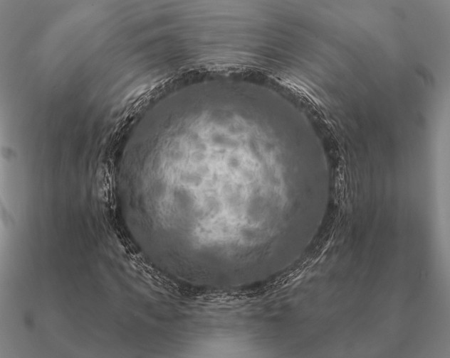 X0000090930917200708061600