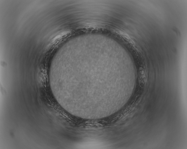 X0000090930918200708061600