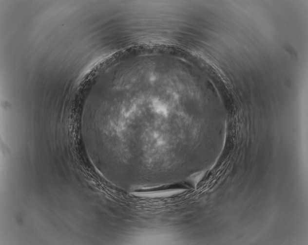 X0000090930919200708061600