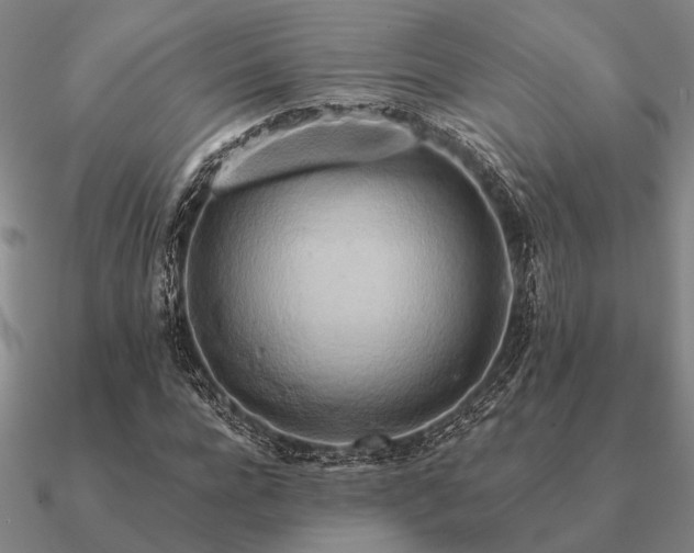 X0000090930920200708061600