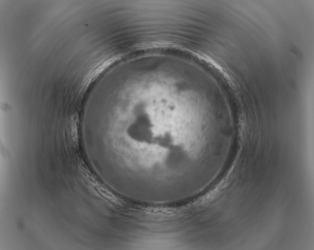 X0000090930921200708061600