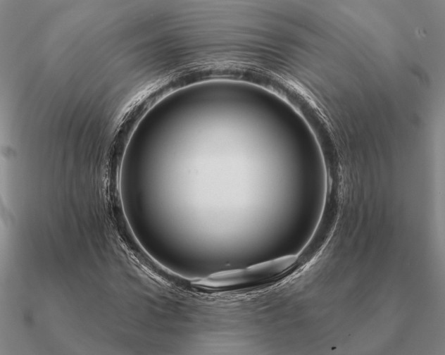 X0000090930922200708061600