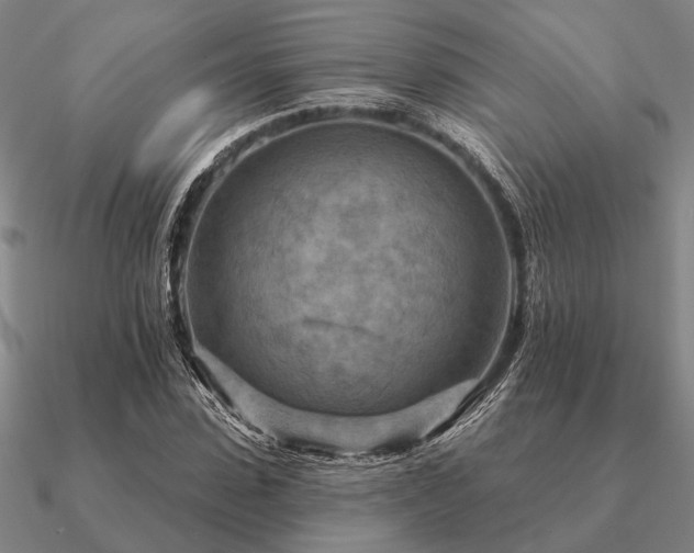 X0000090930923200708061600