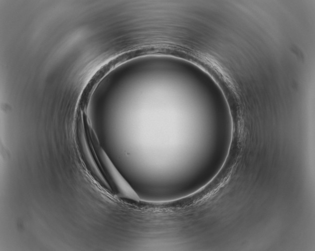 X0000090930924200708061600