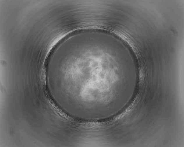 X0000090930925200708061600