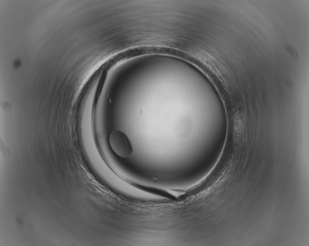 X0000090930926200708061600