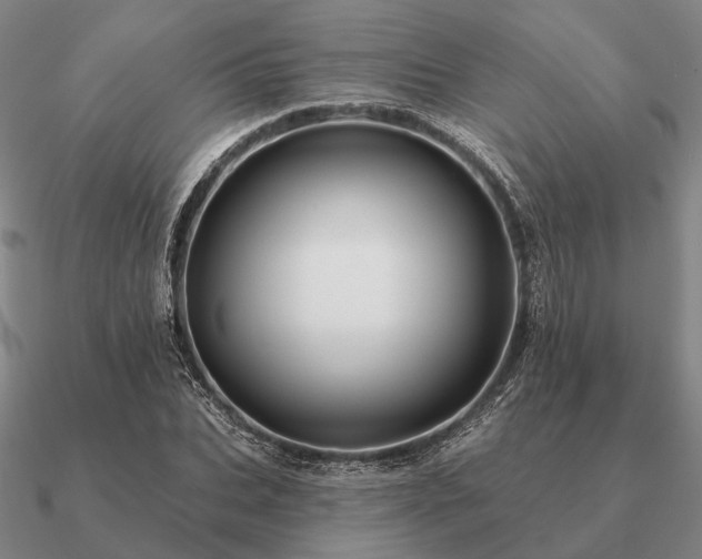 X0000090930927200708061600