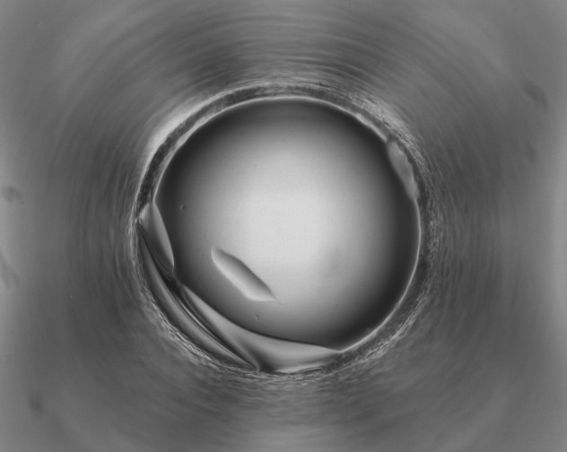 X0000090930928200708061600