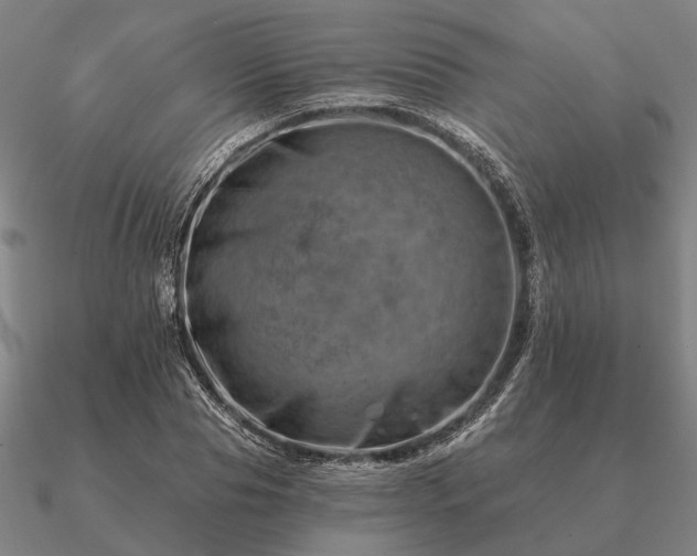 X0000090930929200708061600